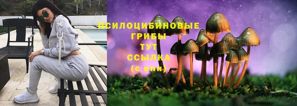 молекула духа Абаза
